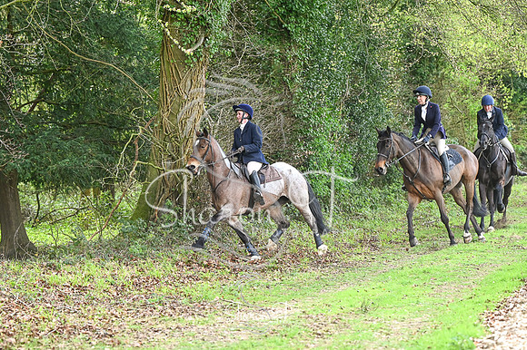 STP_0110