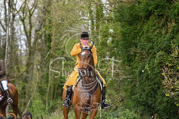 STP_0165