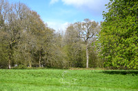 STP_0178