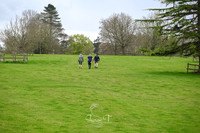 STP_0356