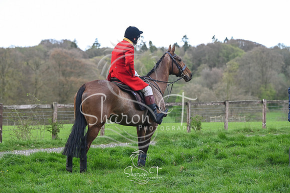 STP_0325