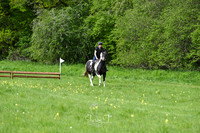STP_0944