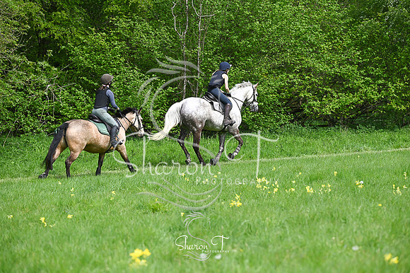 STP_0977