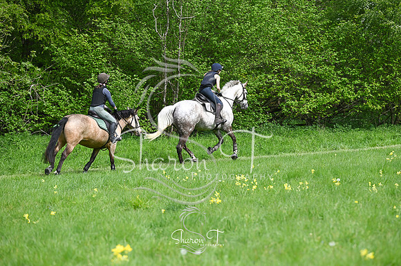 STP_0978