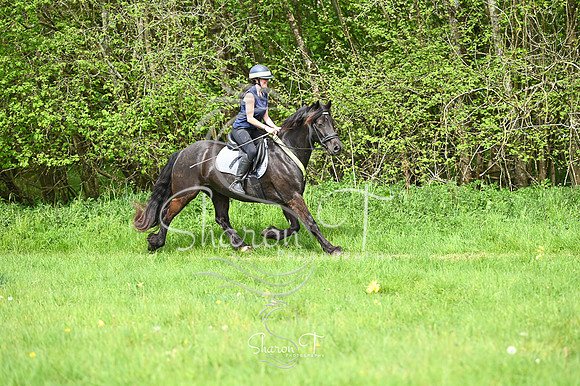 STP_0986