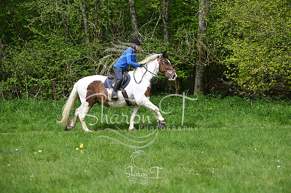 STP_1627