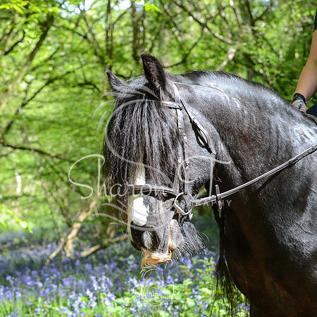 DSC_5102