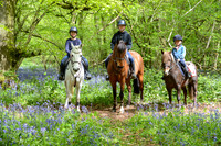 The Bluebell Ride at Longwood 26.4.26