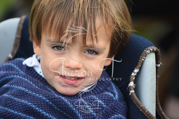 355