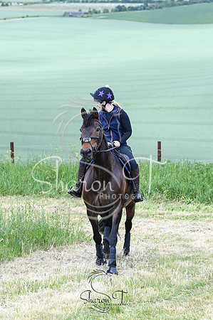 STP_4580