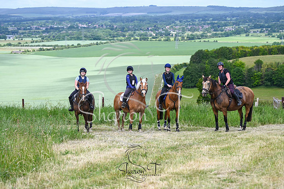 STP_4947