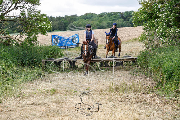 _RP68233