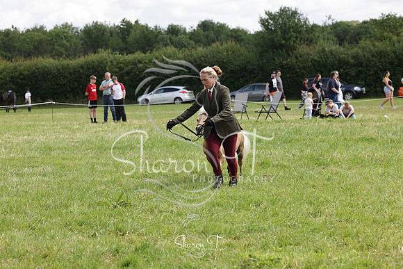 110931-IMG_2711