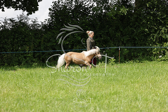 110453-IMG_2651