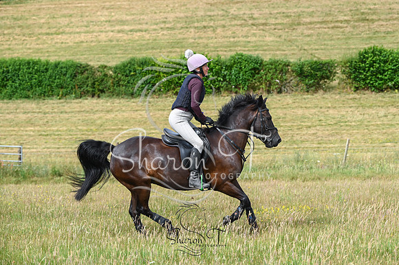 STP_8247