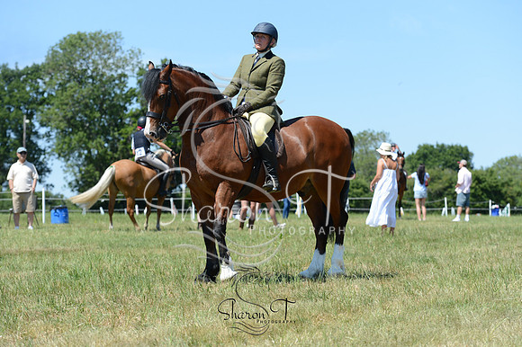 DSC_8789