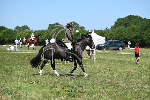 STP_0265