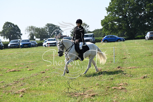 STP_9463