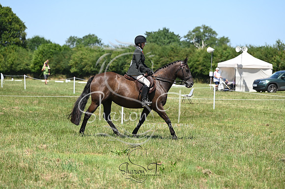 STP_0362