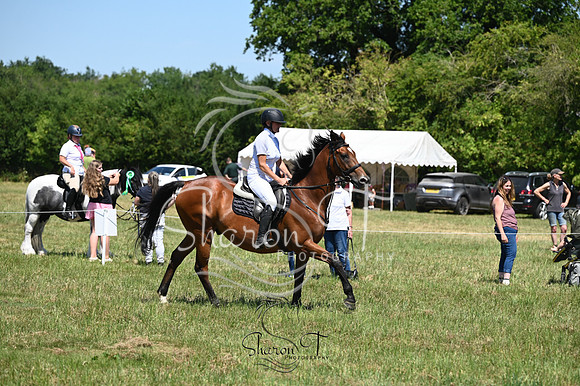 STP_0376