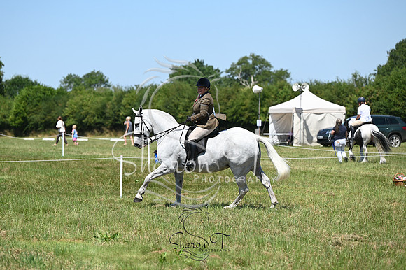 STP_0385