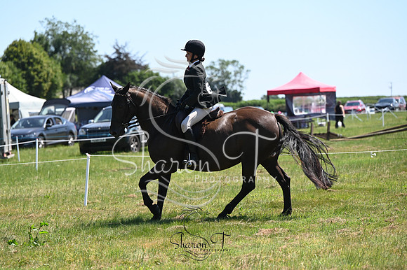 STP_0419