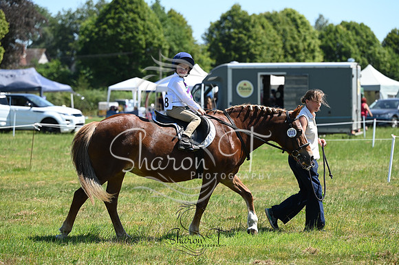 STP_0449