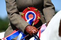Ridden Showing (afternoon)