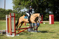 Show Jumping 60cm upwards
