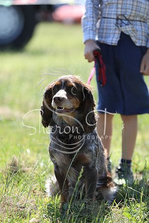 JOB_1419