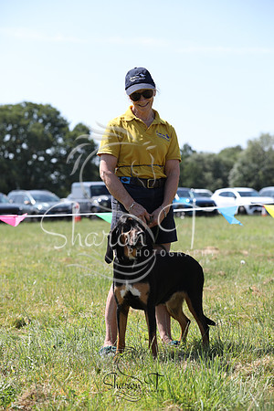 JOB_1545