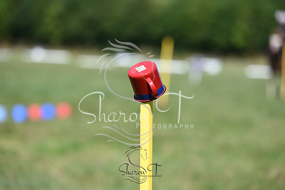 STP_0609