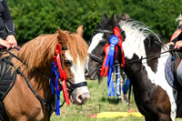 Fawley Farm Feeds Horse & Dog Show 12.7.2026