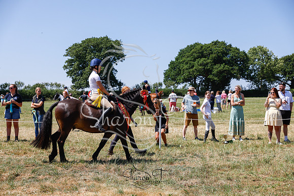 _ARP2084