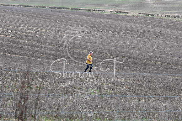 STP_0764
