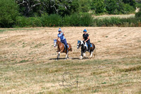 STP_0654