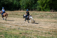 STP_0660