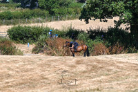 STP_0764