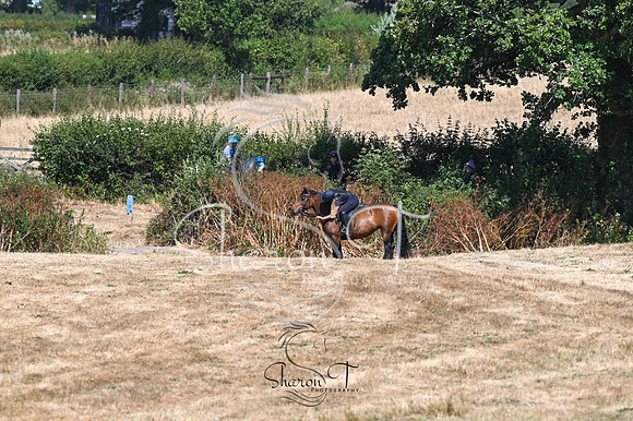 STP_0764