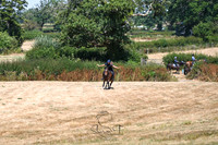 STP_0768