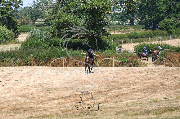 STP_0768