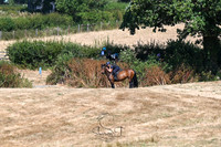 STP_0766
