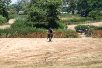 STP_0767