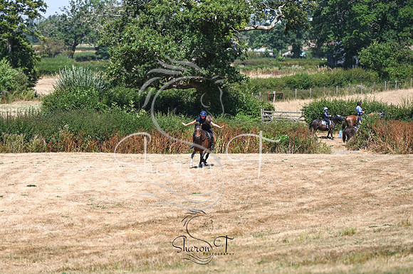STP_0767