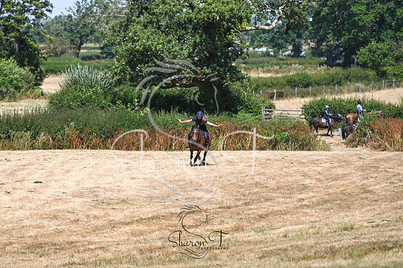 STP_0769