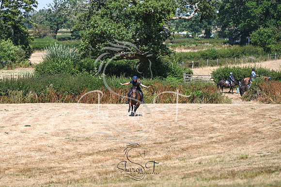 STP_0772