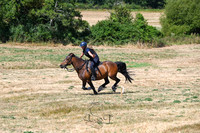 STP_0779