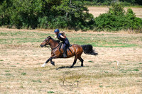 STP_0781