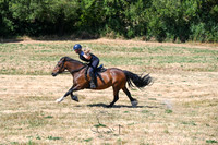 STP_0786