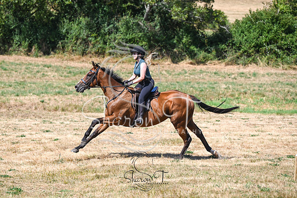 STP_0868
